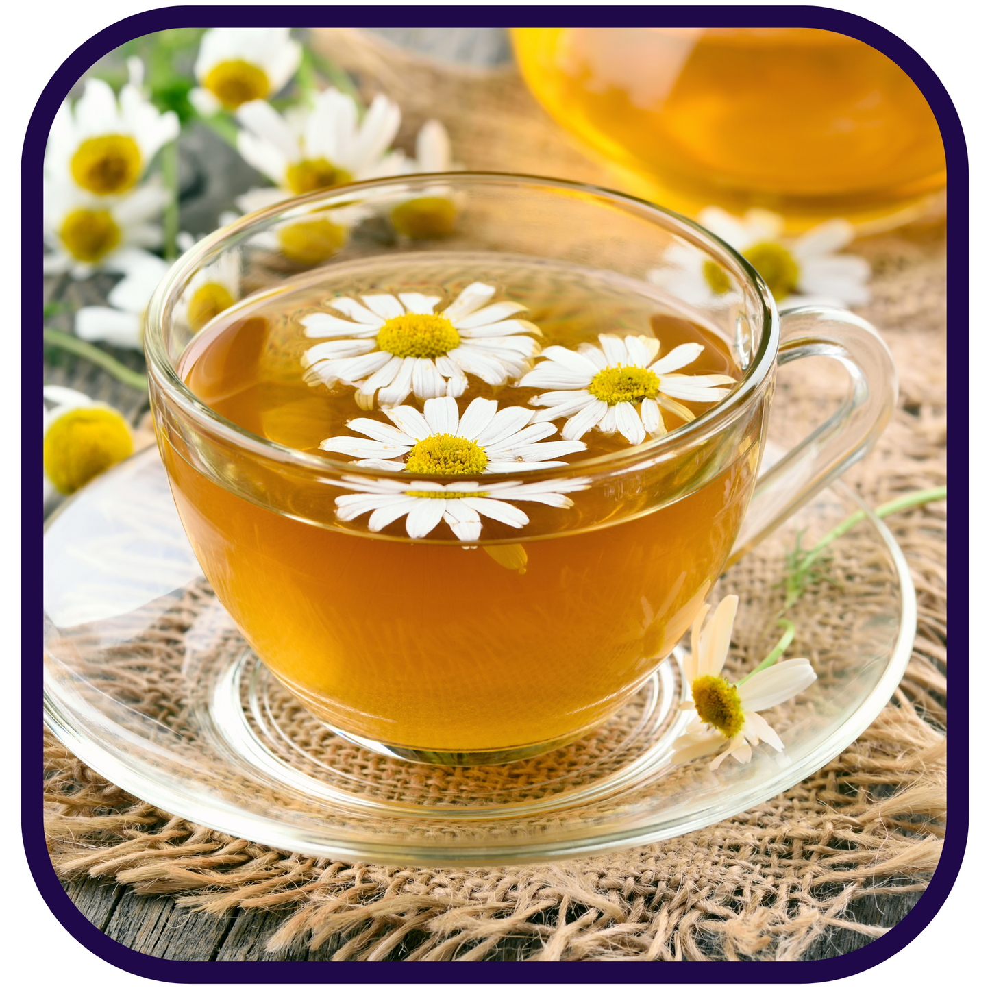 Chamomile Blossoms of the Nile Loose Herbal Tea